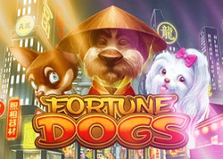 Fortune Dogs